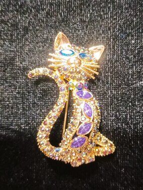 Fun Cat Brooch
